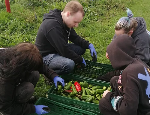 Kochprojekt der Tagesgruppe Adoleszenz